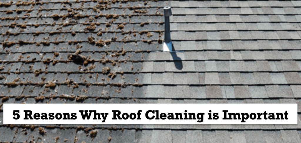 5-Reasons-Why-Roof-Cleaning-is-Important